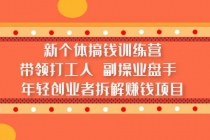 新个体搞钱训练营：带领打工人 副操业盘手 年轻创业者拆解赚钱项目-创业网 - 最新网络创业项目与实战营销教程平台 | cye.cc