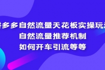 拼多多自然流量天花板实操玩法：自然流量推荐机制，如何开车引流等等-创业网 - 最新网络创业项目与实战营销教程平台 | cye.cc