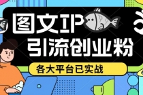 价值1688的ks dy 小红书图文ip引流实操课，日引50-100！各大平台已经实战-创业网 - 最新网络创业项目与实战营销教程平台 | cye.cc