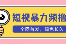 外面收费1680的短视频暴力撸金，日入300+长期可做，赠自动收款平台-创业网 - 最新网络创业项目与实战营销教程平台 | cye.cc