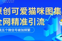 黑科技纯原创可爱猫咪图片，全网精准引流，实操5个VX号被加频繁-创业网 - 最新网络创业项目与实战营销教程平台 | cye.cc