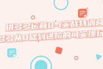 拼多多运营0-1实战特训营，拼多多从0础到进阶的可实操玩法！-创业网 - 最新网络创业项目与实战营销教程平台 | cye.cc