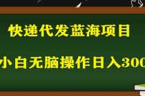2023最新蓝海快递代发项目，小白零成本照抄也能日入300+-创业网 - 最新网络创业项目与实战营销教程平台 | cye.cc