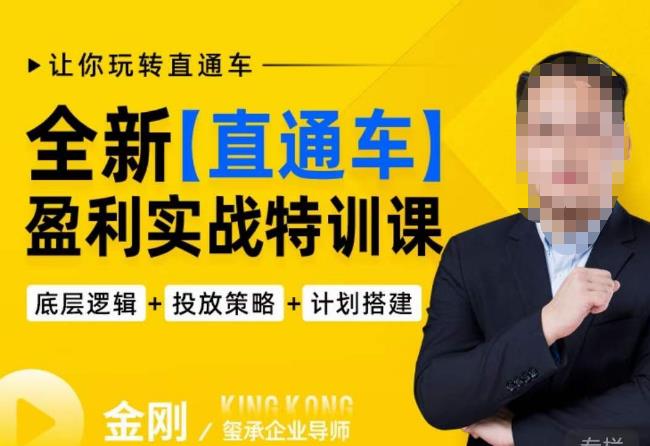 玺承·全新直通车盈利实战特训课，从​底层逻辑详细拆解，从底层，策略到搭建，让你玩转直通车-创业网 - 最新网络创业项目与实战营销教程平台 | cye.cc