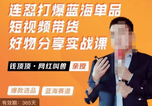 网红叫兽·连怼打爆蓝海单品，短视频带货好物分享实战课-创业网 - 最新网络创业项目与实战营销教程平台 | cye.cc