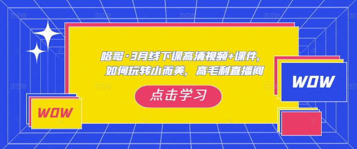 哈哥·3月线下实操课高清视频+课件，如何玩转小而美，高毛利直播间-创业网 - 最新网络创业项目与实战营销教程平台 | cye.cc