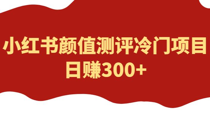外面1980的项目，小红书颜值测评冷门项目，日赚300+【揭秘】-创业网 - 最新网络创业项目与实战营销教程平台 | cye.cc