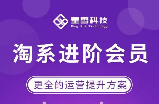 星雪·淘系进阶课程，快速提升突破技能流量瓶颈必备（更新2023年5月）-创业网 - 最新网络创业项目与实战营销教程平台 | cye.cc