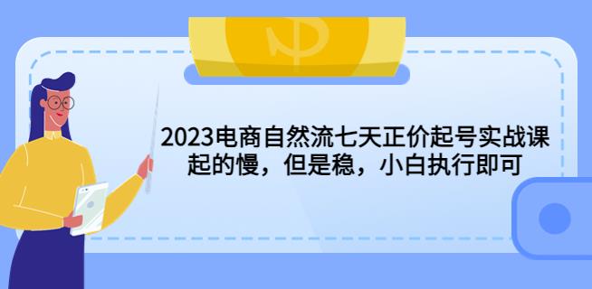 2023电商自然流七天正价起号实战课：起的慢，但是稳，小白执行即可！-创业网 - 最新网络创业项目与实战营销教程平台 | cye.cc
