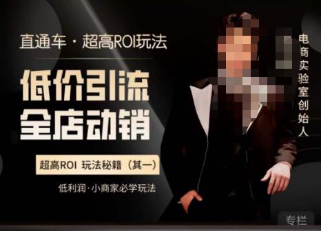电商冰可乐·直通车·《低价引流·全店动销》，直通车·超高ROI玩法（其一）全店动销必学玩法-创业网 - 最新网络创业项目与实战营销教程平台 | cye.cc
