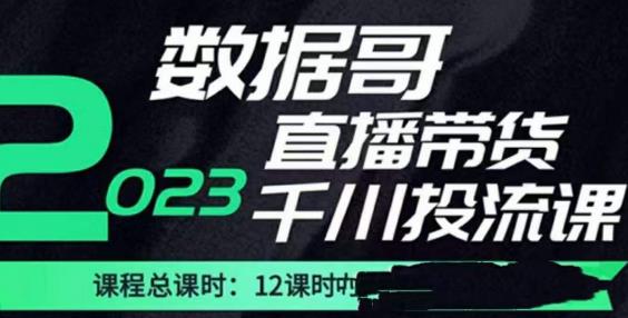 数据哥2023直播电商巨量千川付费投流实操课，快速掌握直播带货运营投放策略-创业网 - 最新网络创业项目与实战营销教程平台 | cye.cc
