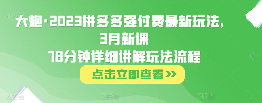 大炮·2023拼多多强付费最新玩法，3月新课​78分钟详细讲解玩法流程-创业网 - 最新网络创业项目与实战营销教程平台 | cye.cc