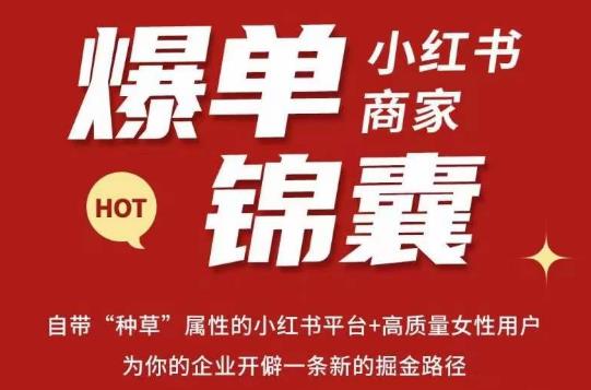 无畏·小红书商家爆单锦囊，掌握小红书各大规则，快速精准抢占行业和市场-创业网 - 最新网络创业项目与实战营销教程平台 | cye.cc