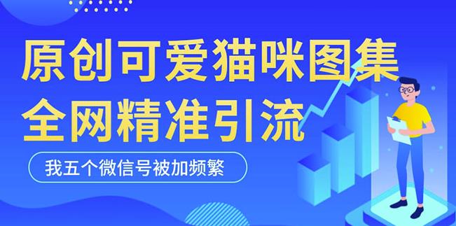 黑科技纯原创可爱猫咪图片，全网精准引流，实操5个VX号被加频繁-创业网 - 最新网络创业项目与实战营销教程平台 | cye.cc