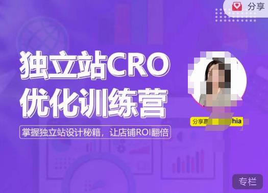 独立站CRO优化训练营，掌握独立站设计秘籍，打造高转化的独立站，让店铺ROI翻倍-创业网 - 最新网络创业项目与实战营销教程平台 | cye.cc
