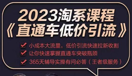 2023直通车低价引流玩法课程，小成本大流量，低价引流快速拉新收割，让你快速掌握直通车突破瓶颈-创业网 - 最新网络创业项目与实战营销教程平台 | cye.cc