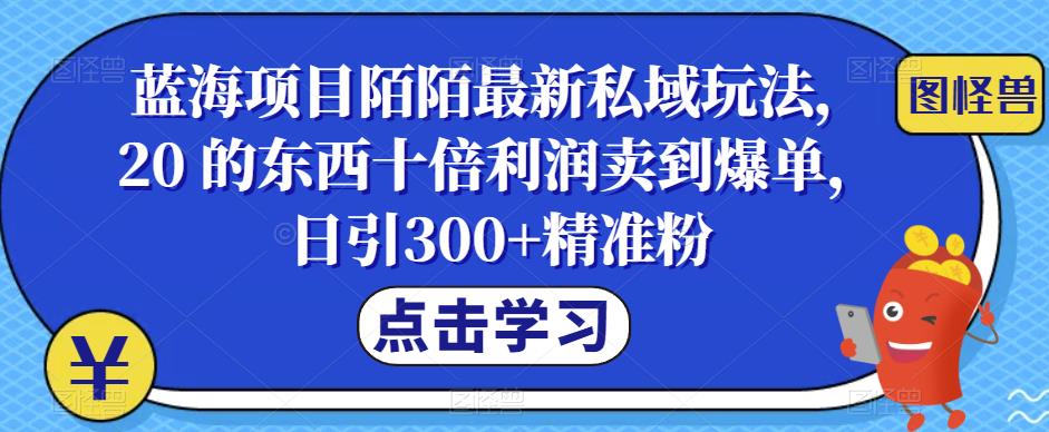 蓝海项目陌陌最新私域玩法，20 的东西十倍利润卖到爆单，日引300+精准粉【揭秘】-创业网 - 最新网络创业项目与实战营销教程平台 | cye.cc