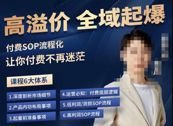 逸风-拼多多高溢价全域起爆，6大课程体系，付费玩法全套实操-创业网 - 最新网络创业项目与实战营销教程平台 | cye.cc