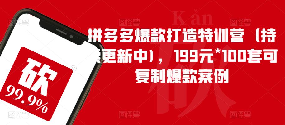 拼多多爆款打造特训营（持续更新中)，199元*100套可复制爆款案例-创业网 - 最新网络创业项目与实战营销教程平台 | cye.cc
