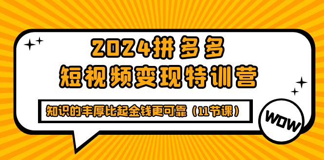 2024拼多多短视频变现特训营，知识的丰厚比起金钱更可靠-创业网 - 最新网络创业项目与实战营销教程平台 | cye.cc