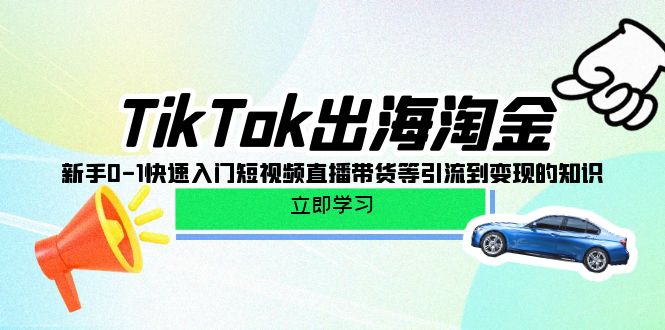 TikTok-出海淘金，新手0-1快速入门短视频直播带货等引流到变现的知识-创业网 - 最新网络创业项目与实战营销教程平台 | cye.cc