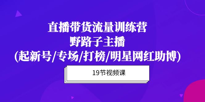 直播带货流量特训营，野路子主播(起新号/专场/打榜/明星网红助博)19节课-创业网 - 最新网络创业项目与实战营销教程平台 | cye.cc