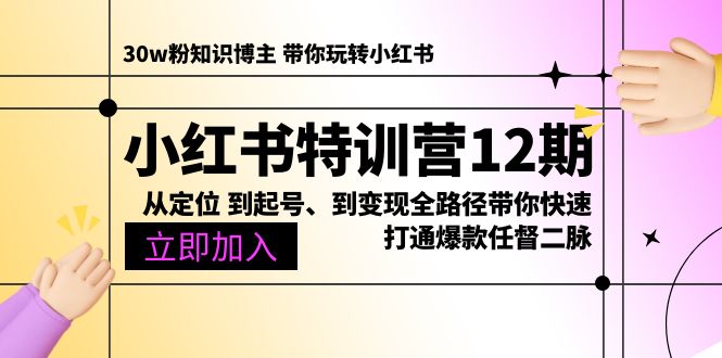 小红书特训营12期：从定位 到起号、到变现全路径带你快速打通爆款任督二脉-创业网 - 最新网络创业项目与实战营销教程平台 | cye.cc