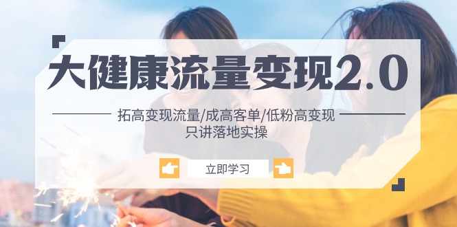 大健康 流量 变现2.0：拓高变现 流量/成高客单/低粉高变现/只讲落地实战-创业网 - 最新网络创业项目与实战营销教程平台 | cye.cc