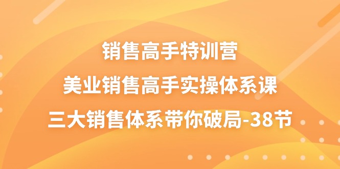 销售-高手特训营，美业-销售高手实操体系课，三大销售体系带你破局-38节-创业网 - 最新网络创业项目与实战营销教程平台 | cye.cc
