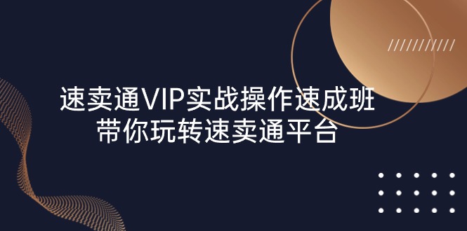 速卖通 VIP实战操作-速成班，带你玩转速卖通平台-创业网 - 最新网络创业项目与实战营销教程平台 | cye.cc