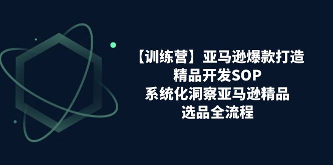 【训练营】亚马逊爆款打造之精品开发SOP，系统化洞察亚马逊精品选品全流程-创业网 - 最新网络创业项目与实战营销教程平台 | cye.cc