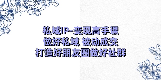 私域IP-变现高手课：做好私域 被动成交，打造好朋友圈做好社群-创业网 - 最新网络创业项目与实战营销教程平台 | cye.cc