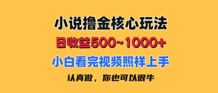 小说撸金核心玩法，日收益500-1000+，小白看完照样上手，0成本有手就行-创业网 - 最新网络创业项目与实战营销教程平台 | cye.cc