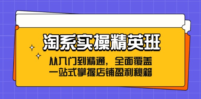 淘系实操精英班：从入门到精通，全面覆盖，一站式掌握店铺盈利秘籍-创业网 - 最新网络创业项目与实战营销教程平台 | cye.cc