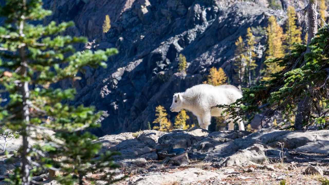 图片[2]-创新与挑战：探索数字时代的创业网机遇与策略-创业网 - 最新网络创业项目与实战营销教程平台 | cye.cc