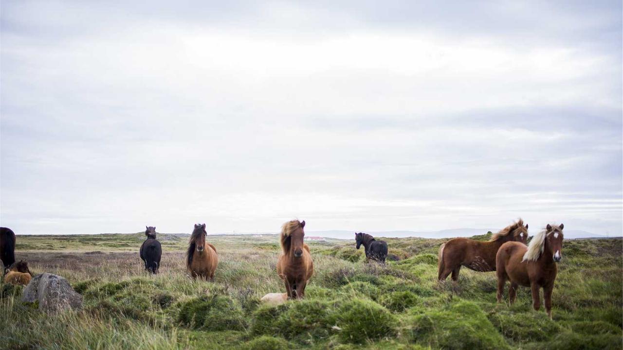 图片[2]-“新时代创业网：开启线上创业新机遇与挑战”-创业网 - 最新网络创业项目与实战营销教程平台 | cye.cc