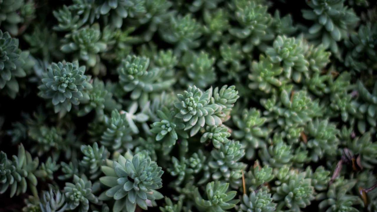 图片[2]-创业网： 打造数字时代的创新商业平台与机会-创业网 - 最新网络创业项目与实战营销教程平台 | cye.cc