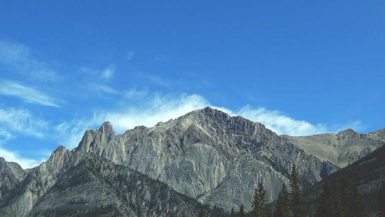 图片[3]-创业网： 打造数字时代的创新商业平台与机会-创业网 - 最新网络创业项目与实战营销教程平台 | cye.cc