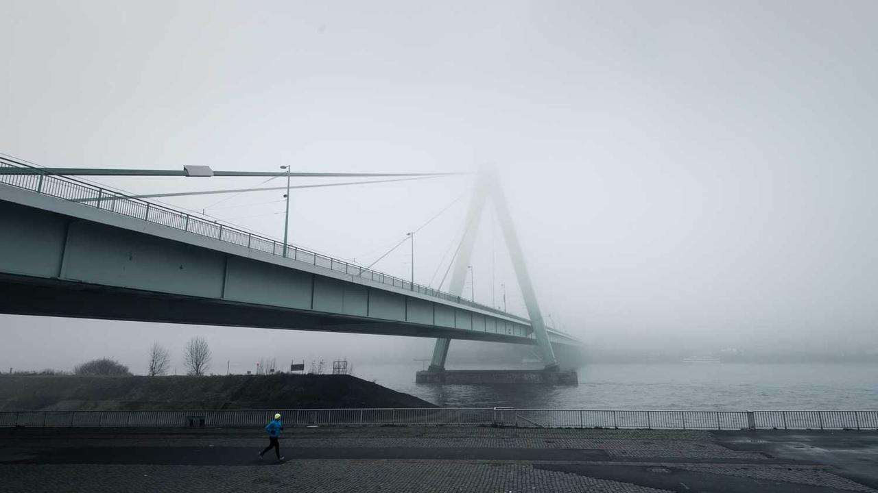 图片[3]-创业网：开启数字经济时代的在线创业旅程-创业网 - 最新网络创业项目与实战营销教程平台 | cye.cc