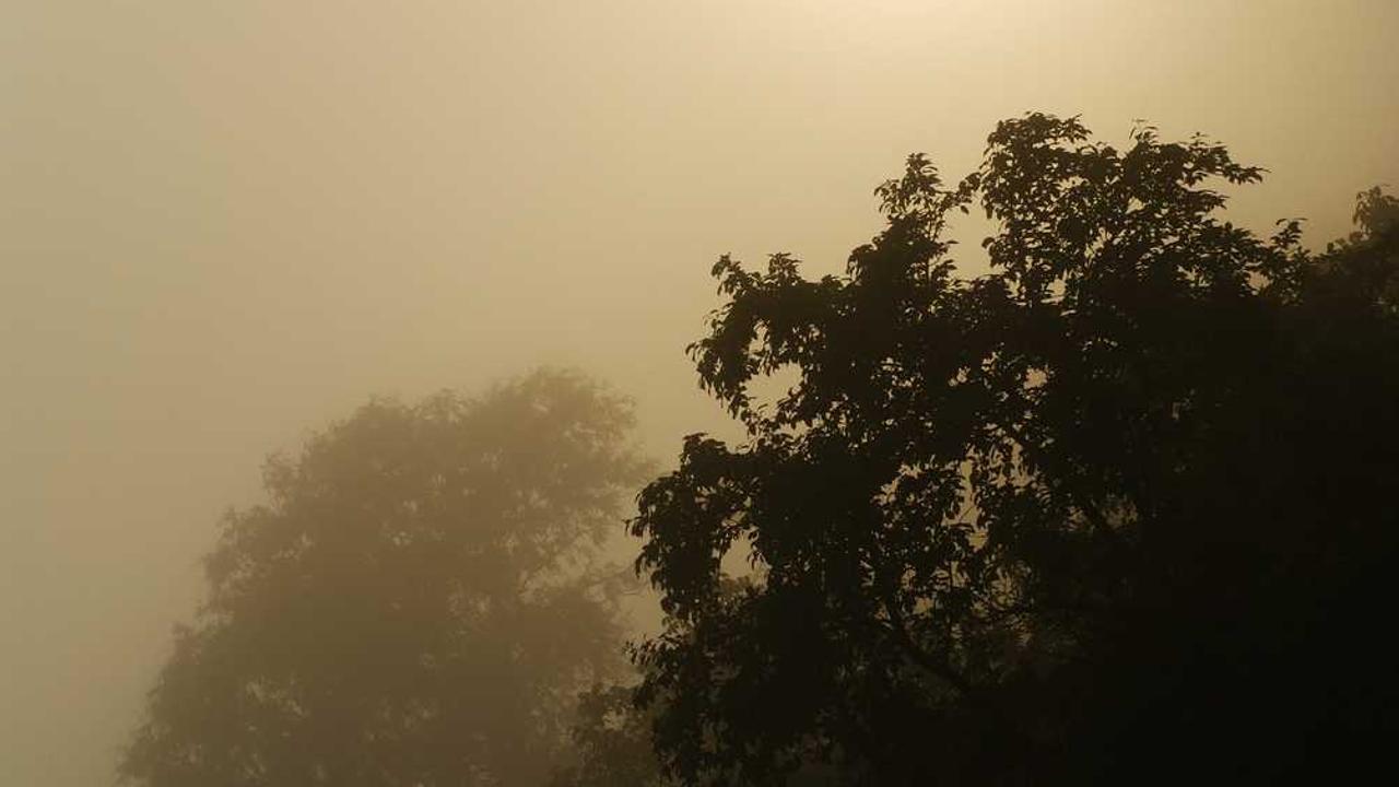 图片[2]-创业网：汇聚资源与智慧，开启数字时代的创业旅程-创业网 - 最新网络创业项目与实战营销教程平台 | cye.cc