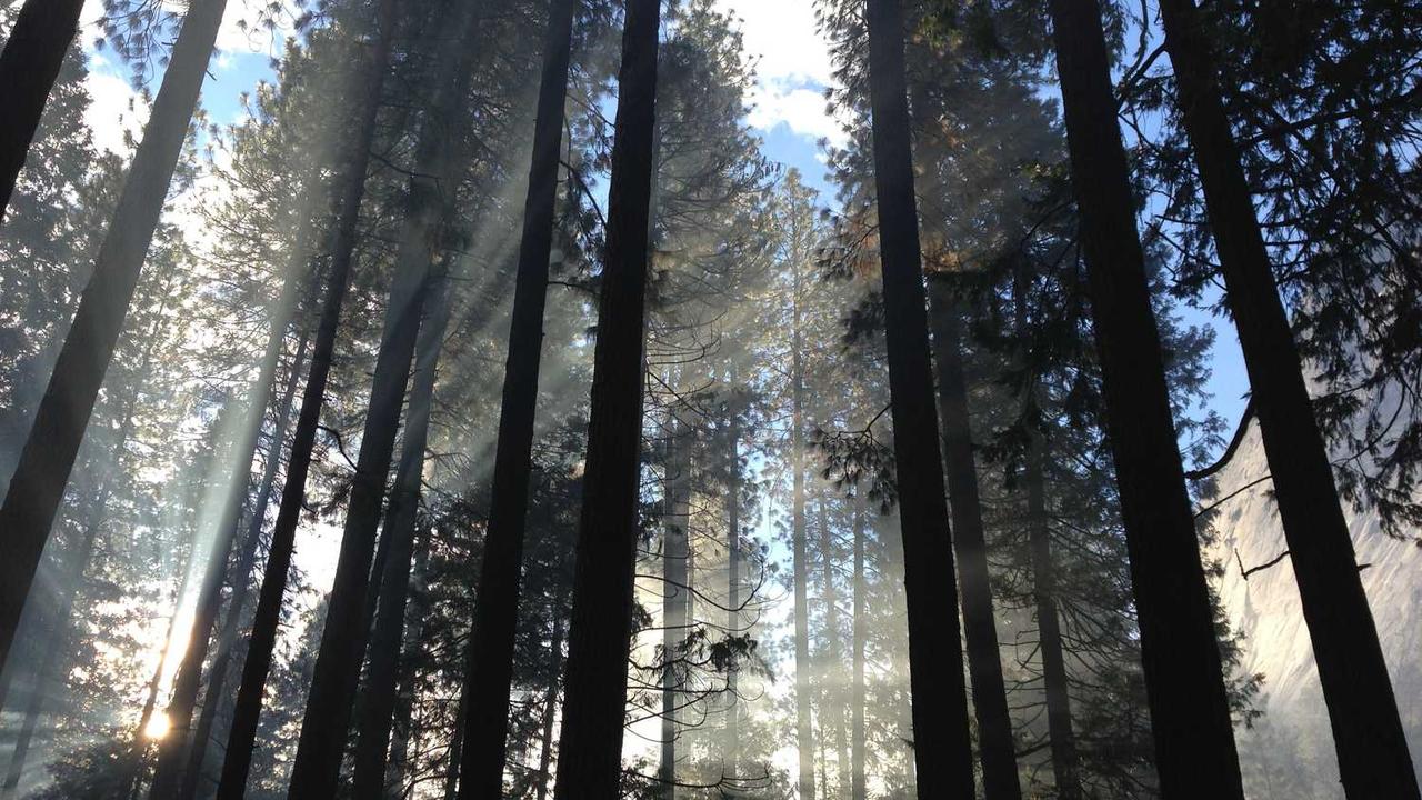 图片[3]-创业网：汇聚资源与智慧，开启数字时代的创业旅程-创业网 - 最新网络创业项目与实战营销教程平台 | cye.cc