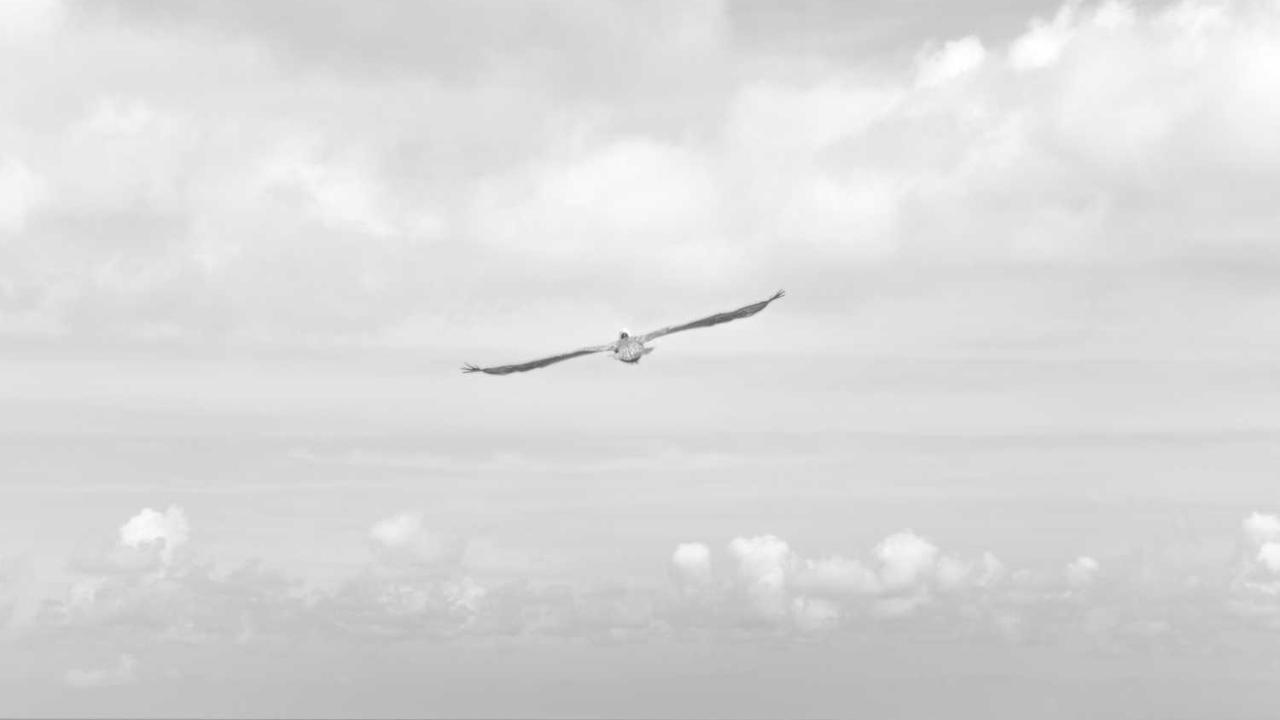 “创业网：拓展数字经济的新机遇与挑战”-创业网 - 最新网络创业项目与实战营销教程平台 | cye.cc