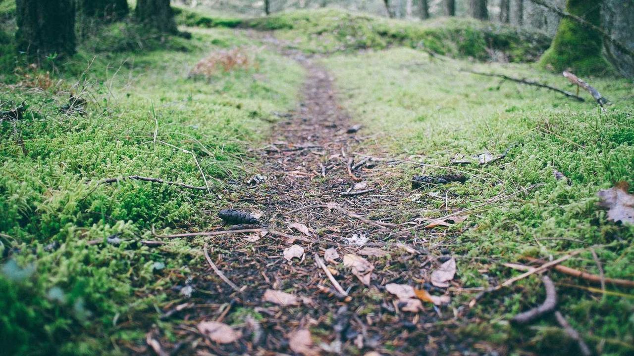 “构建在线商业生态：创业网的策略与机遇”-创业网 - 最新网络创业项目与实战营销教程平台 | cye.cc