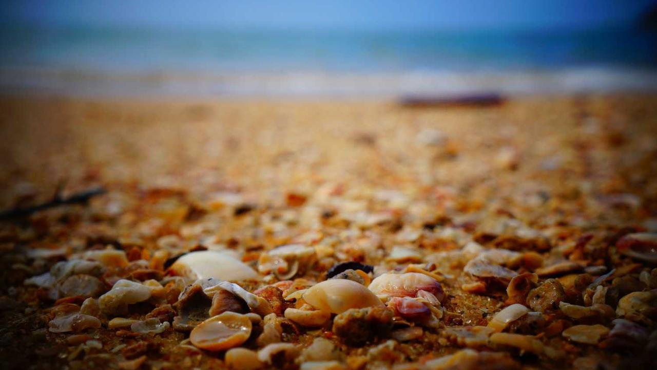 图片[3]-“构建在线商业生态：创业网的策略与机遇”-创业网 - 最新网络创业项目与实战营销教程平台 | cye.cc