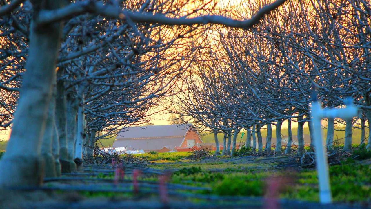 “创业网：开启你的在线商业机会与成功之路”-创业网 - 最新网络创业项目与实战营销教程平台 | cye.cc