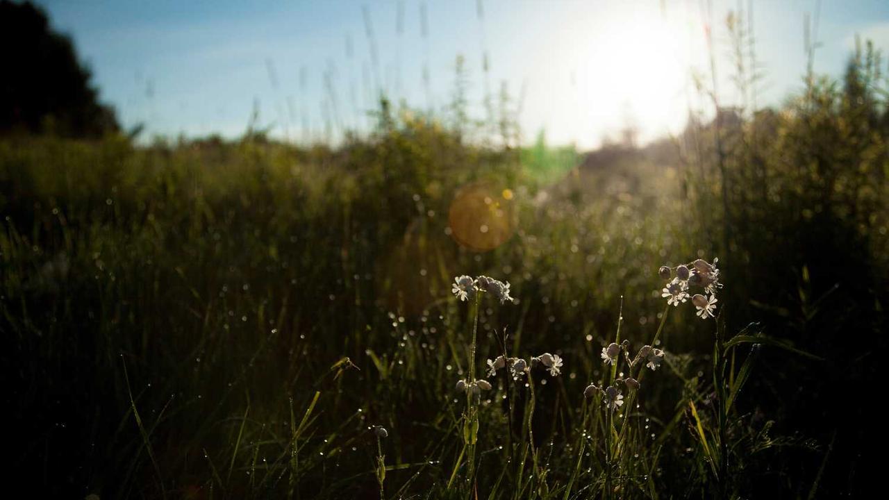 建立成功创业网：资源共享与创新合作的新时代-创业网 - 最新网络创业项目与实战营销教程平台 | cye.cc