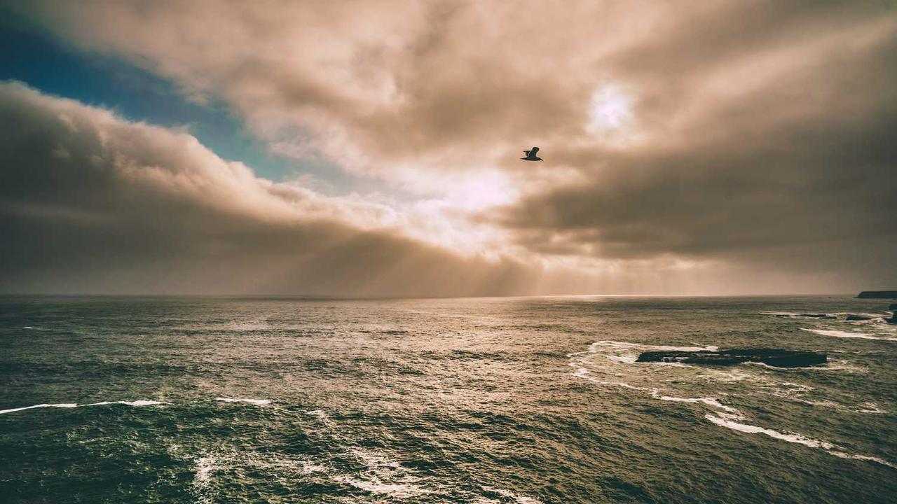 图片[2]-“构建创业网：新兴商业模式与互联网时代的机遇”-创业网 - 最新网络创业项目与实战营销教程平台 | cye.cc