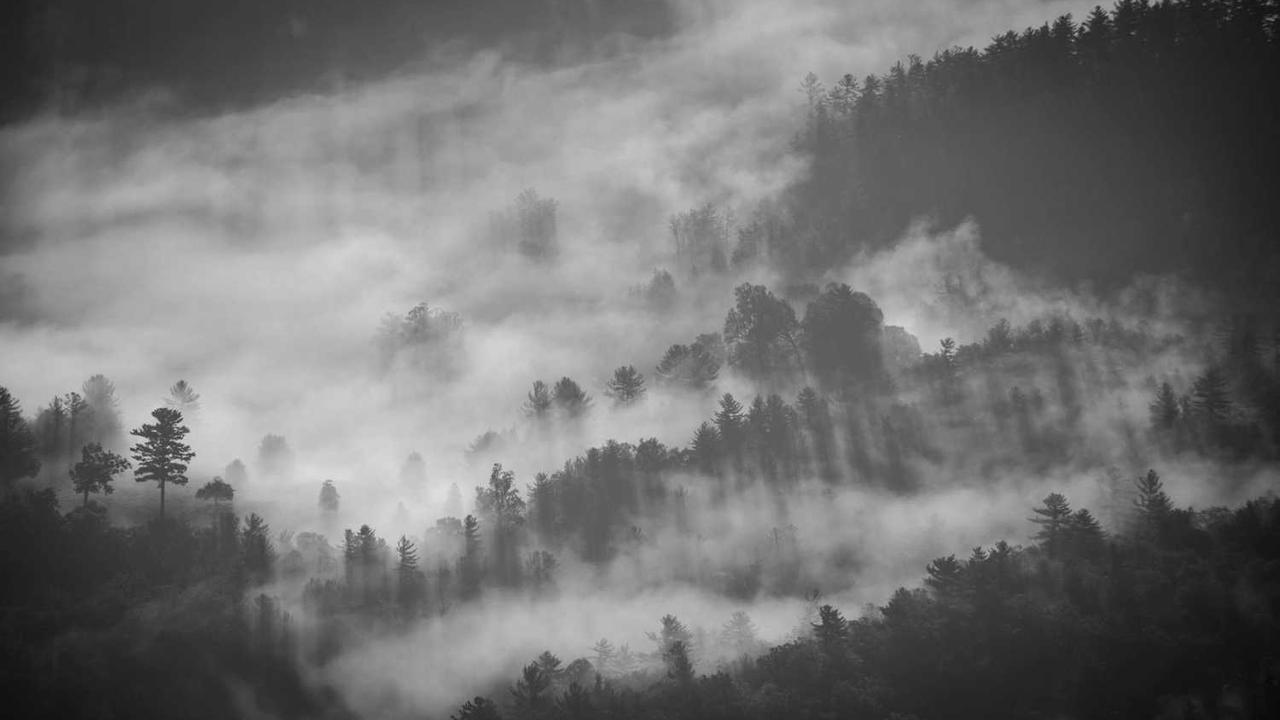 图片[2]-“创业网：链接梦想与机遇的在线商业平台”-创业网 - 最新网络创业项目与实战营销教程平台 | cye.cc