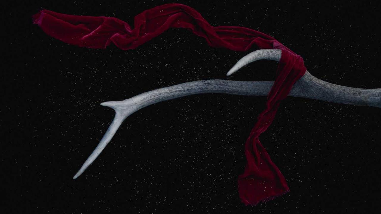 创业网：打造在线商业生态的全新机遇与策略-创业网 - 最新网络创业项目与实战营销教程平台 | cye.cc