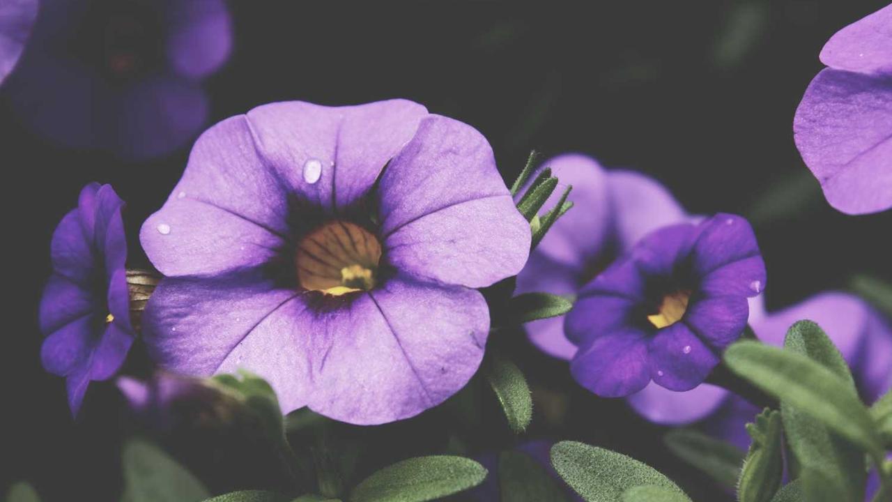 图片[2]-“创业网：数字时代商机与创新的汇聚平台”-创业网 - 最新网络创业项目与实战营销教程平台 | cye.cc